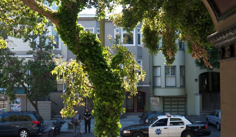 Tonight: Town Hall Meeting On Duboce Triangle Crime And Quality Of Life