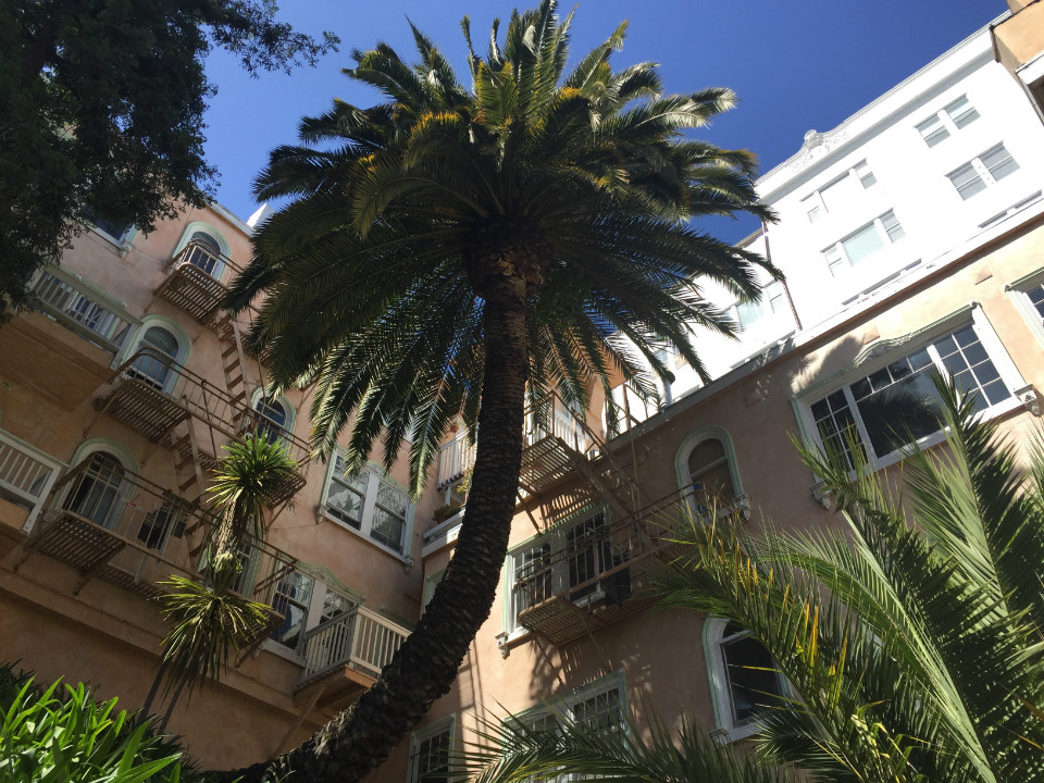 Neighbors Outraged Over Removal Of 2 Redwoods, Other Trees On Stockton