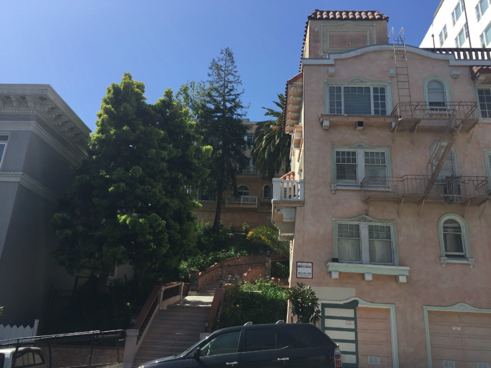 Neighbors Outraged Over Removal Of 2 Redwoods, Other Trees On Stockton