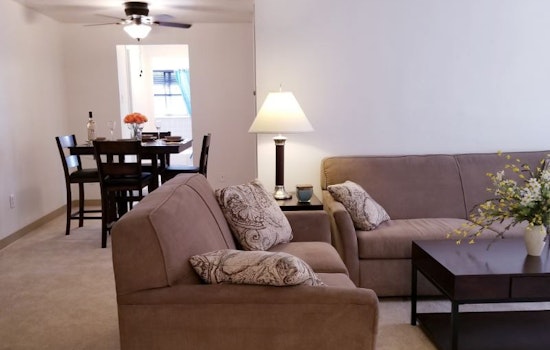 What does $900 rent you in Mount Lebanon, today?