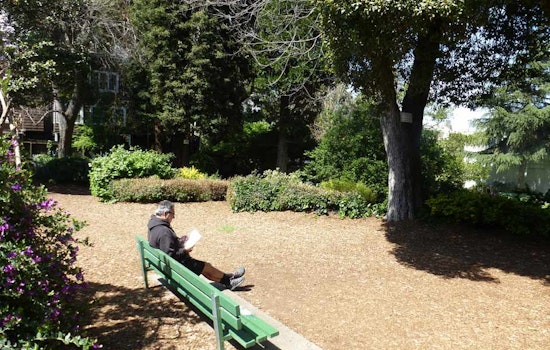 Great Explorations: Allyne Park
