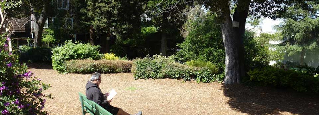 Great Explorations: Allyne Park