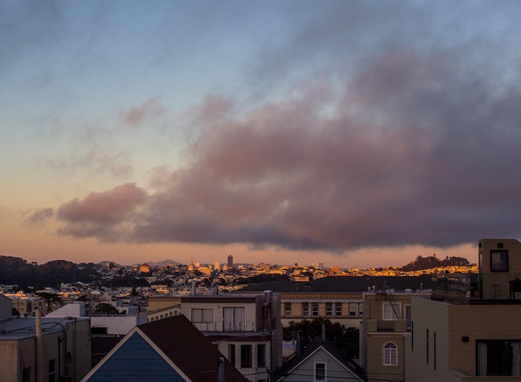 Outer Sunset Week: Community Planting, 5K In Golden Gate Park, 'Jungle Book' At The SF Zoo, More