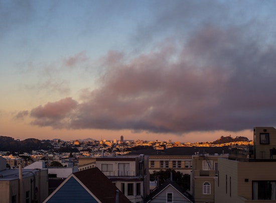 Outer Sunset Week: Community Planting, 5K In Golden Gate Park, 'Jungle Book' At The SF Zoo, More