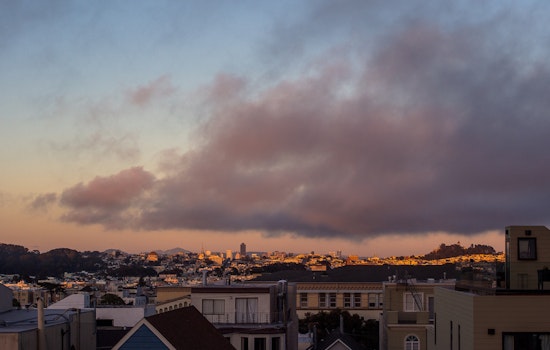 Outer Sunset Week: Community Planting, 5K In Golden Gate Park, 'Jungle Book' At The SF Zoo, More