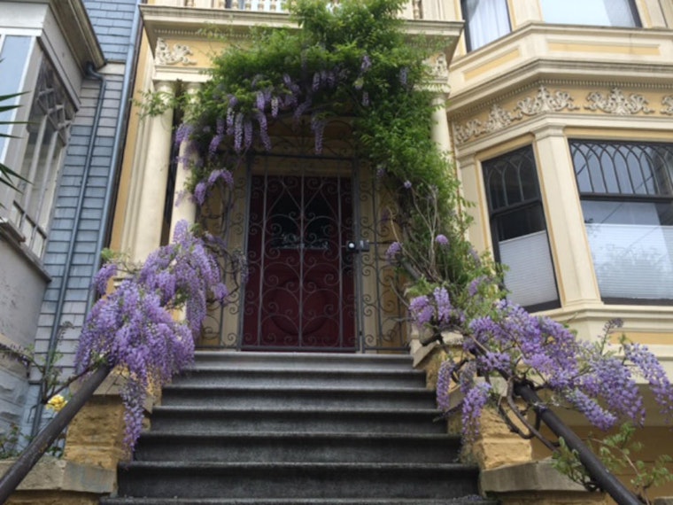 Upper Haight Week: Park Days, Neuroscience, Bowie Photos And More