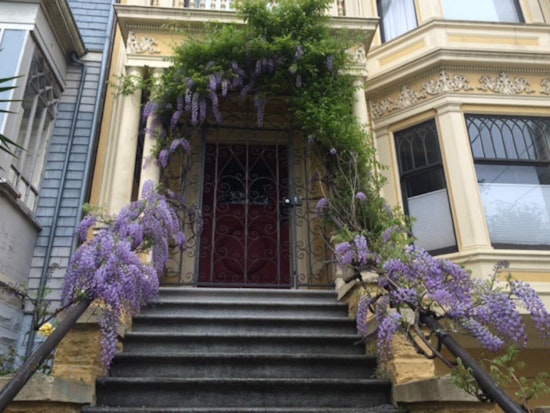 Upper Haight Week: Park Days, Neuroscience, Bowie Photos And More