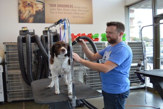 New pet grooming spot, Kriser's Natural Pet, now open in Roscoe Village