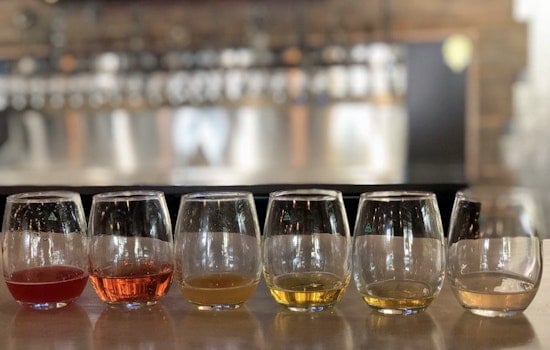 Bottoms up: Greenville's top 5 breweries, ranked