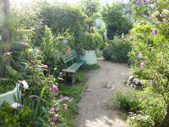 Great Explorations: Howard/Langton Mini-Park & Community Garden