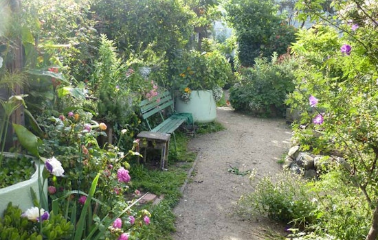 Great Explorations: Howard/Langton Mini-Park & Community Garden