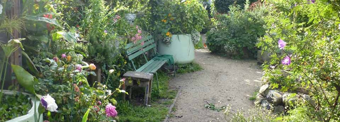 Great Explorations: Howard/Langton Mini-Park & Community Garden