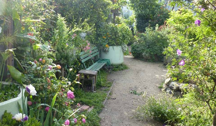 Great Explorations: Howard/Langton Mini-Park & Community Garden