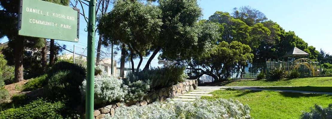 How Koshland Park Cultivated Neighborhood Support Into A Flourishing Community