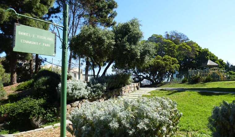 How Koshland Park Cultivated Neighborhood Support Into A Flourishing Community