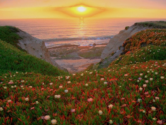 SoMa Week: Earth Day Film Fest, Last Chance For Rocco's Crab Cioppino, Hard French Benefit & More