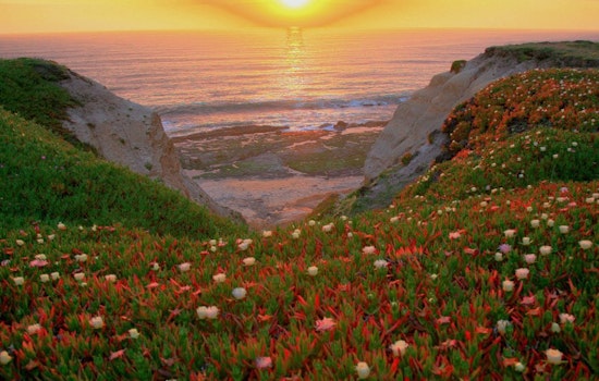SoMa Week: Earth Day Film Fest, Last Chance For Rocco's Crab Cioppino, Hard French Benefit & More
