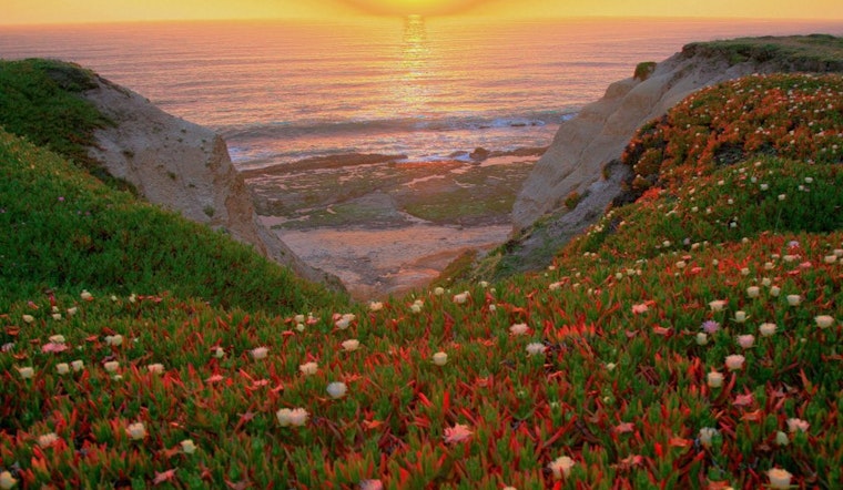 SoMa Week: Earth Day Film Fest, Last Chance For Rocco's Crab Cioppino, Hard French Benefit & More