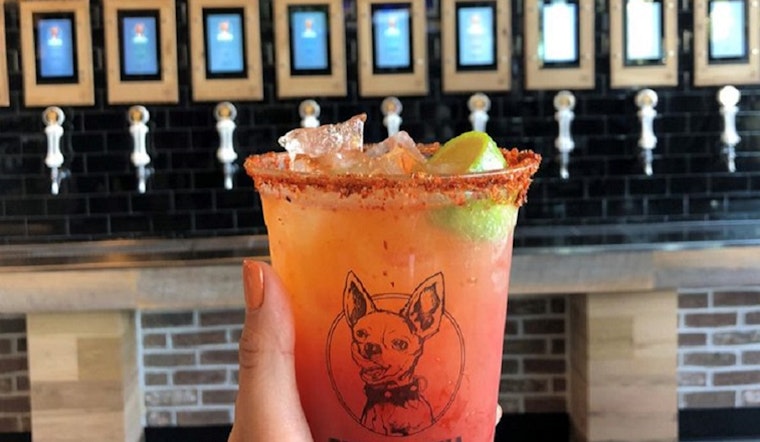 Here are the 3 newest businesses to launch in Newport Beach