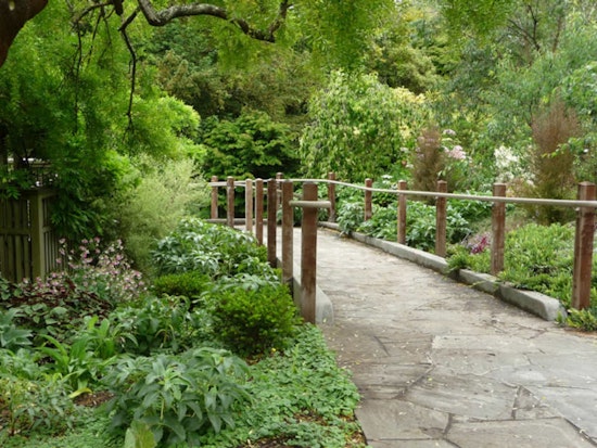 Event Spotlight: Full Moon Tour Of The Botanical Garden Tonight
