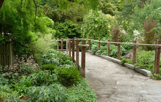 Event Spotlight: Full Moon Tour Of The Botanical Garden Tonight