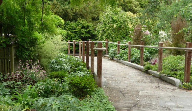 Event Spotlight: Full Moon Tour Of The Botanical Garden Tonight