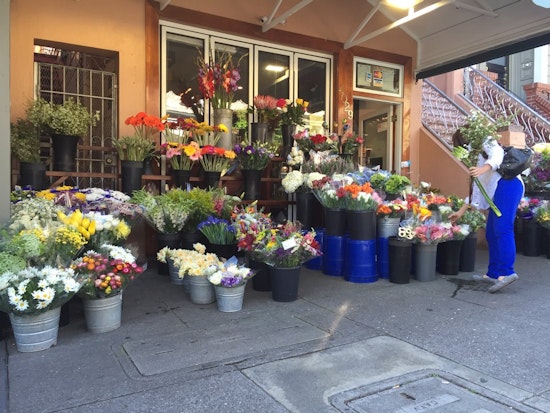 Castro Week: Int'l Film Festival, Blackbird Bazaar, Dining Out For Life, More