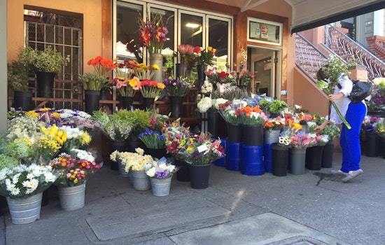 Castro Week: Int'l Film Festival, Blackbird Bazaar, Dining Out For Life, More
