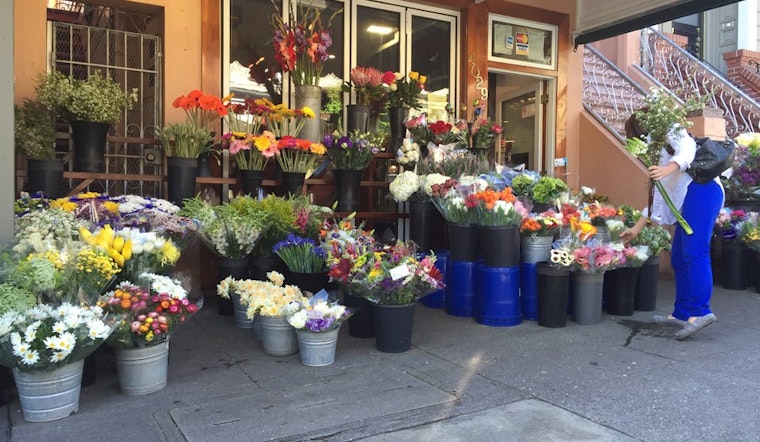 Castro Week: Int'l Film Festival, Blackbird Bazaar, Dining Out For Life, More