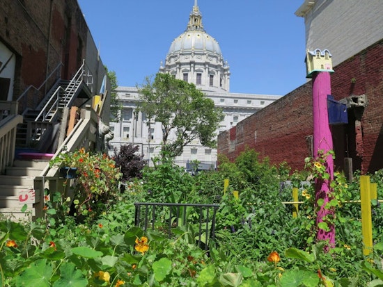 Please Touch Community Garden: A Green Space For The Disabled Where All Are Welcome