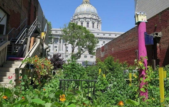 Please Touch Community Garden: A Green Space For The Disabled Where All Are Welcome