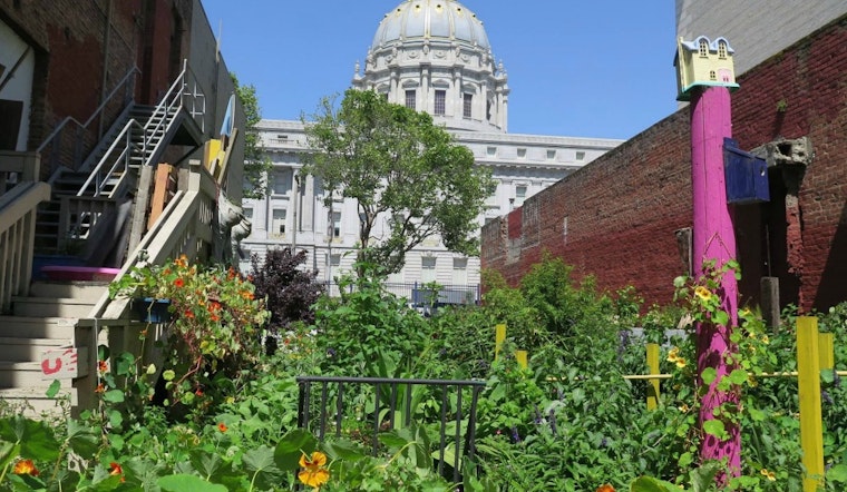 Please Touch Community Garden: A Green Space For The Disabled Where All Are Welcome