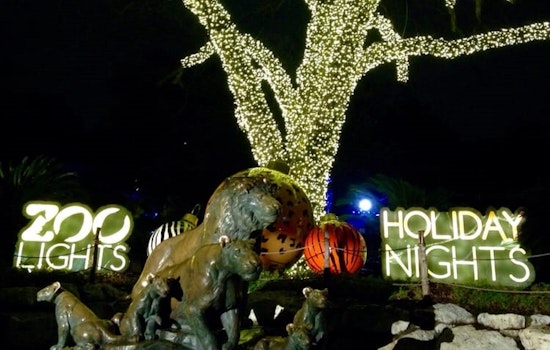 Family-friendly deals worth seeking out in San Antonio this week