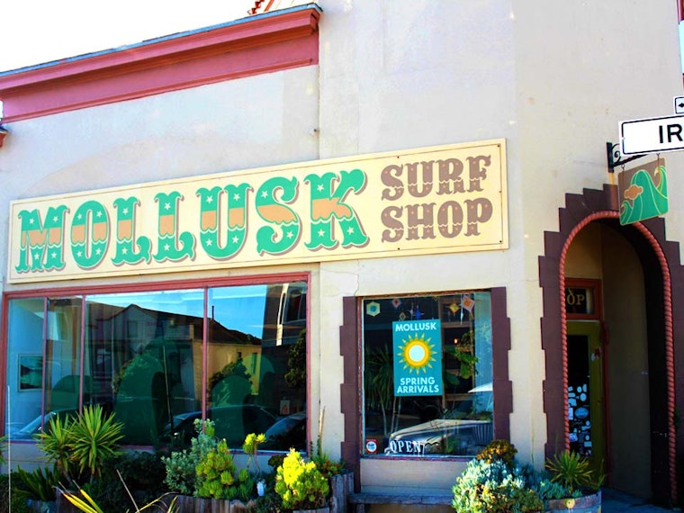 Surfing And Art Come Together At Ocean Beach's Mollusk Surf Shop