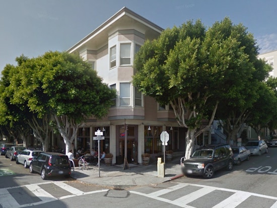 Public Hearing Today On Waller & Steiner Ficus Tree Removal