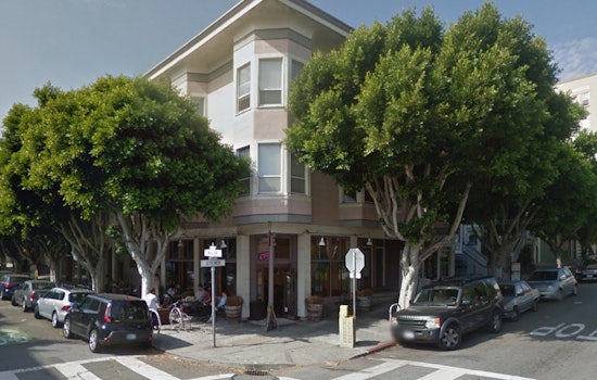 Public Hearing Today On Waller & Steiner Ficus Tree Removal