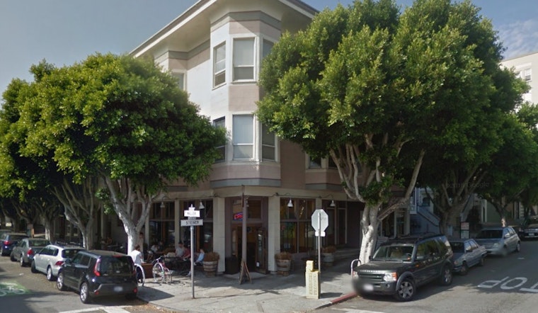 Public Hearing Today On Waller & Steiner Ficus Tree Removal