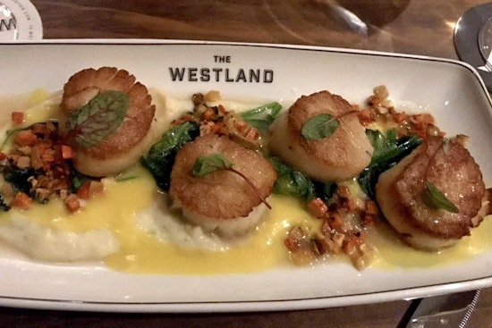 Here are the 4 freshest new businesses to debut in Boston