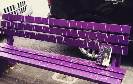 Bench Outside Green Apple Books On The Park Transformed Into Prince Tribute