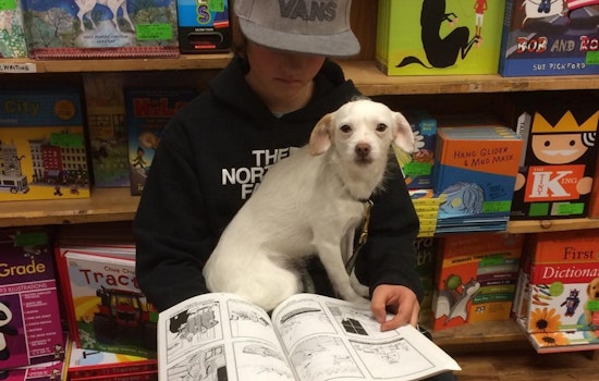 Celebrate Your Neighborhood Independent Bookstore This Saturday