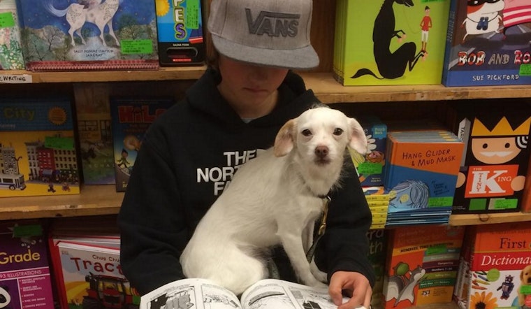 Celebrate Your Neighborhood Independent Bookstore This Saturday