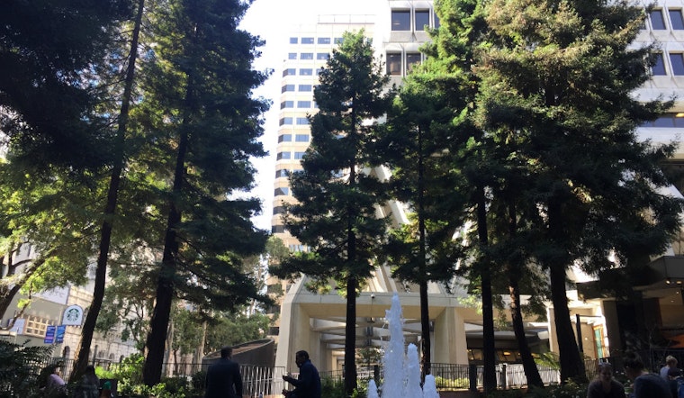 For National Arbor Day, Check Out Transamerica Redwood Park
