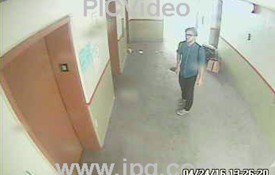 SFPD Seeking Suspect In Sexual Assault, Burglary Of Elderly Chinatown Woman