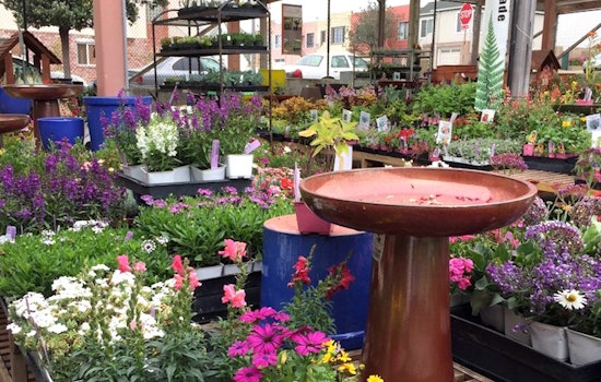 For Now, Outer Sunset's Sloat Garden Center Is Staying Put