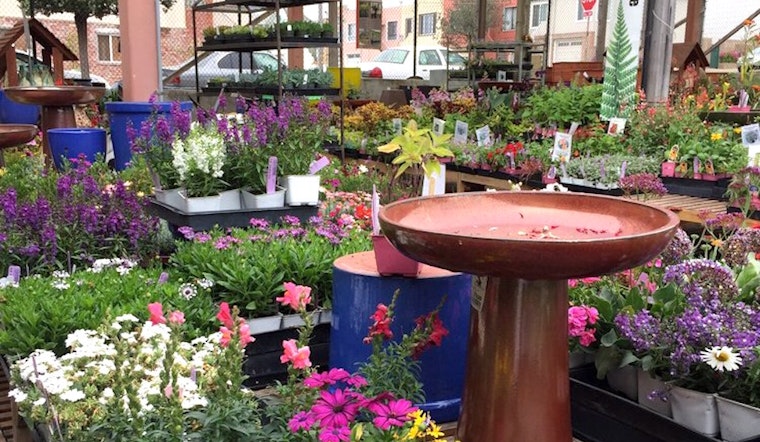 For Now, Outer Sunset's Sloat Garden Center Is Staying Put