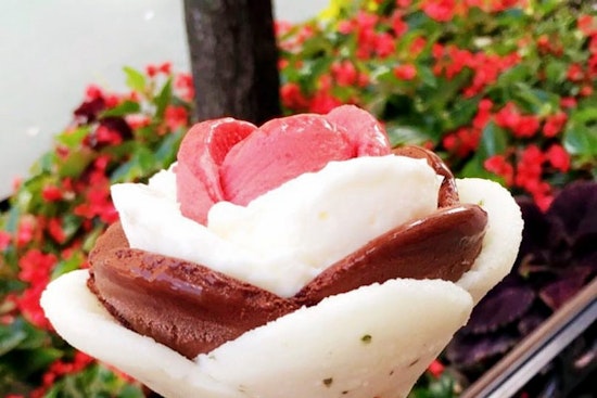 Amorino Gelato brings gelato and more to Plano