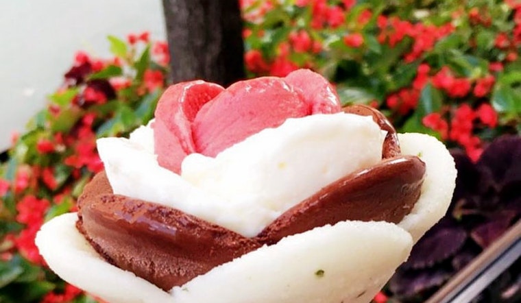 Amorino Gelato brings gelato and more to Plano