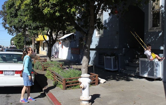 Inner Sunset Week: Mother's Day, Town Hall Discussion, Green Apple Literary Events, More