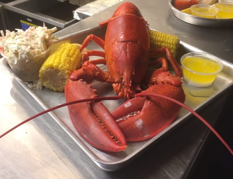 Shuckin' Shack Oyster Bar makes Central Raleigh debut, with seafood and more