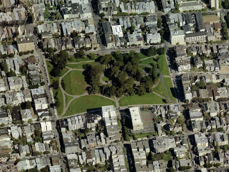ASNA Fundraising Campaign Aims To Bring 100+ New Trees To Alamo Square